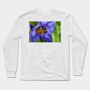 Bumbling along and hanging on Long Sleeve T-Shirt